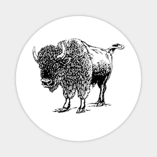 Cute bison gift ideas, bison tees bison hoodies Magnet